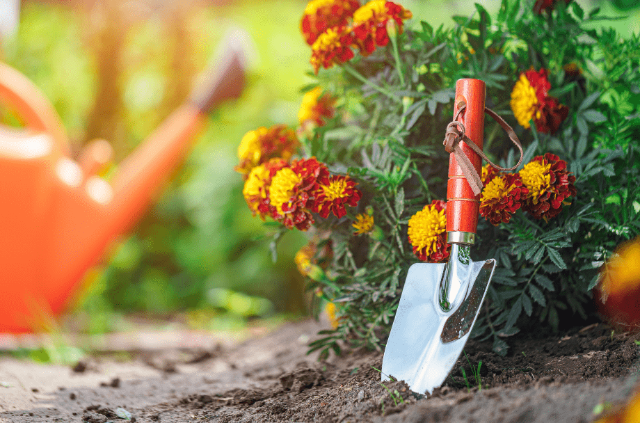 In-Ground Installation