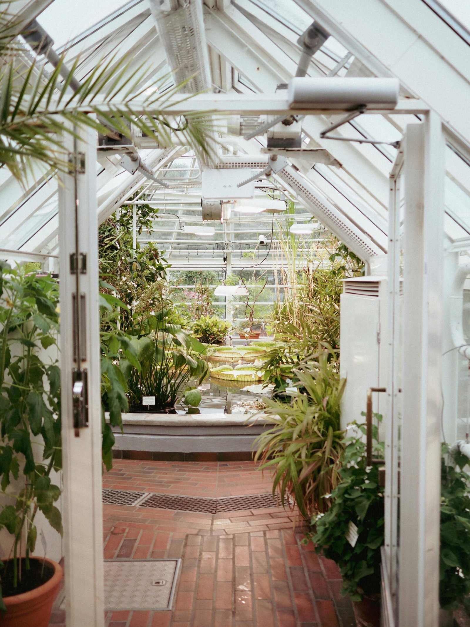 Greenhouse-entrance Greenhouse entrance