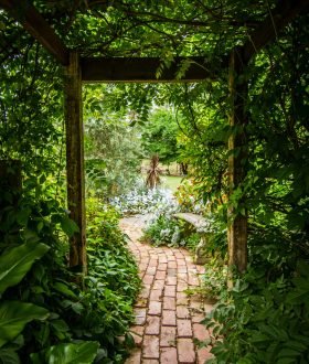 Garden-entrance Garden entrance with brick path and big plants