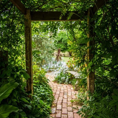 Garden-entrance Garden entrance with brick path and big plants