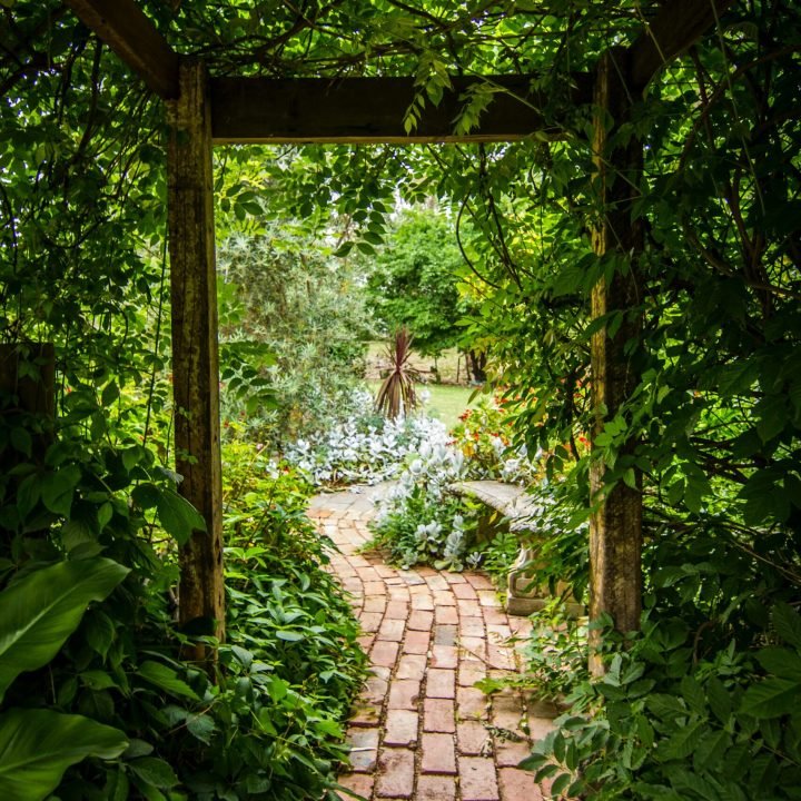 Garden-entrance Garden entrance with brick path and big plants